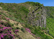 Hallasan National Park in Jeju