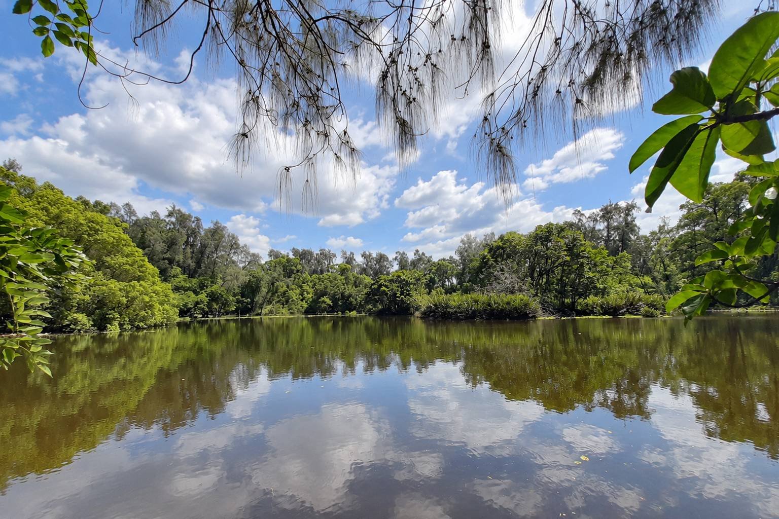 Haller Park