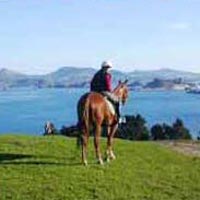 Hare Hill Horse Treks in Otago