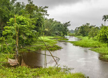 Hatigarh Hill in Jorhat