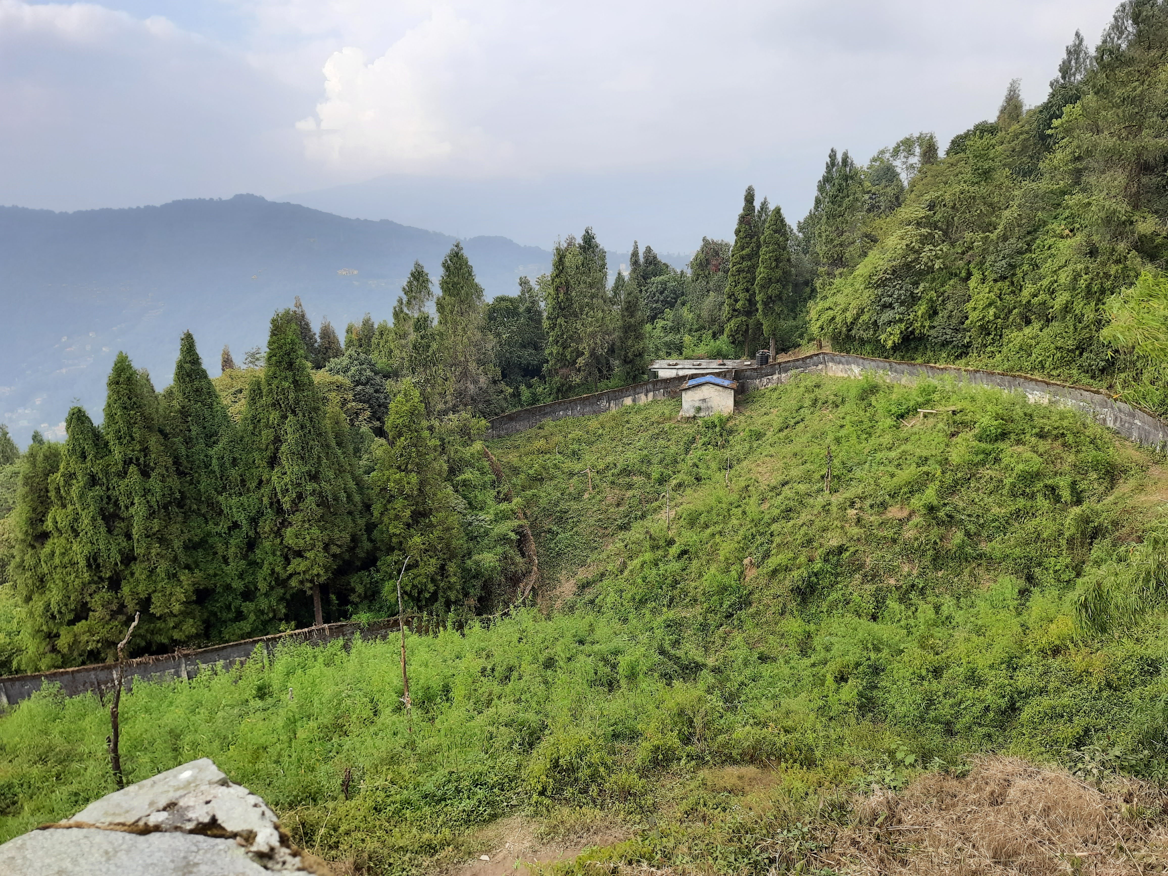 Himalayan Zoological park Zoo in Gangtok