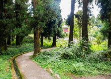 Himalayan Zoological park Zoo in Gangtok
