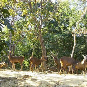 Hlawga National Park