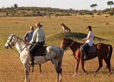 Horse Riding in Masai Mara in Masai Mara