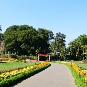 Horticultural Garden