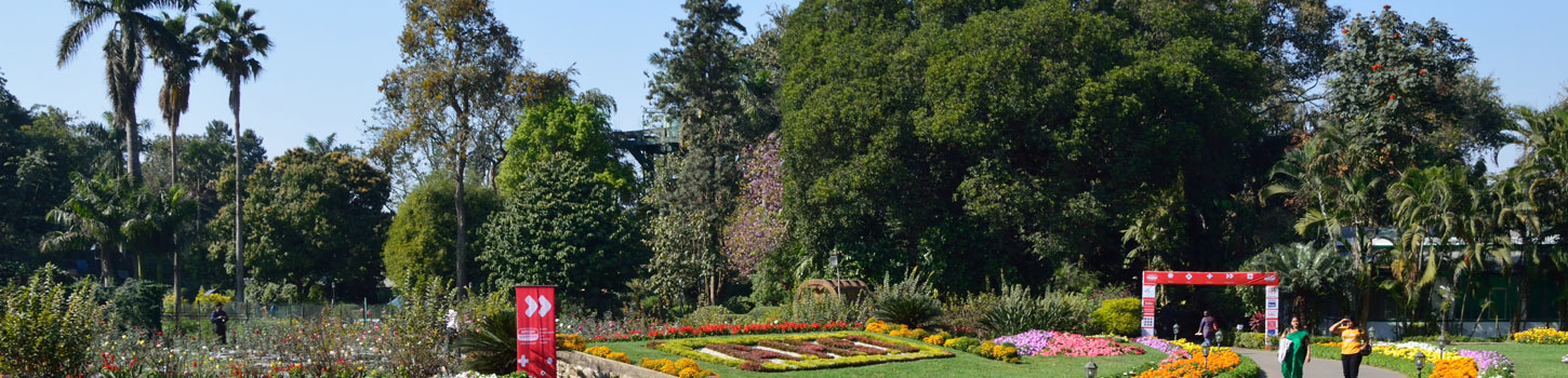 Horticultural Garden