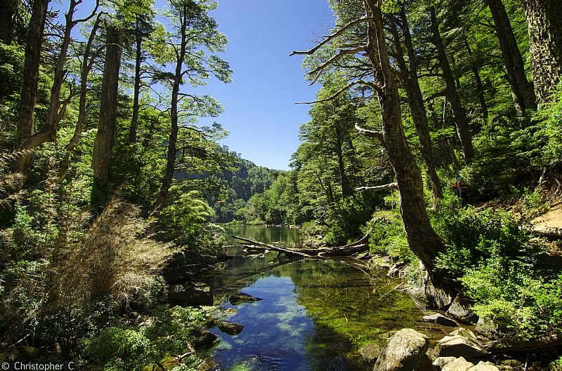 Huerquehue National Park in Araucania
