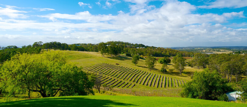 Hunter Valley