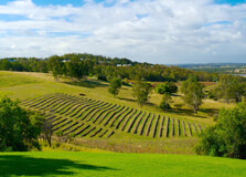 Hunter Valley in Newcastle