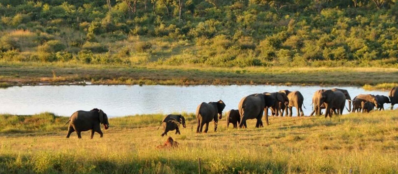 Hwange National Park
