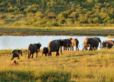 Hwange National Park in Harare