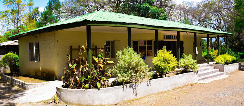 Hyrax Hill Museum