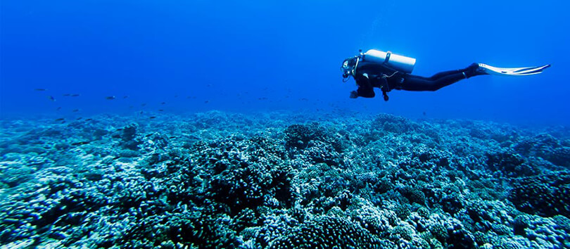 Ibiza Diving
