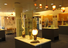 Icelandic Phallological Museum in Reykjavík