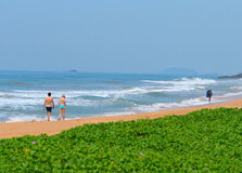 Induruwa Beach in Bentota