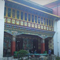Institute of Tibetology Orchid Sanctuary & Chorten in Gangtok