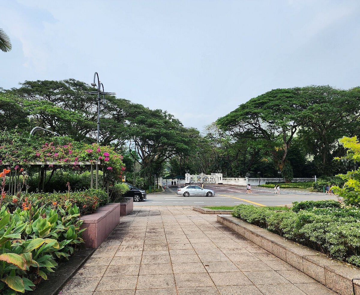 Orchard