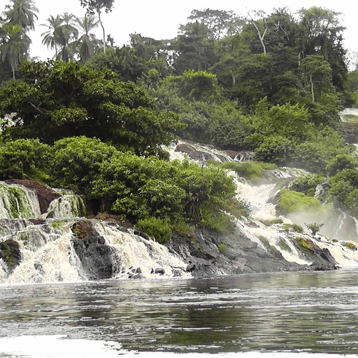 Ivindo National Park in Libreville