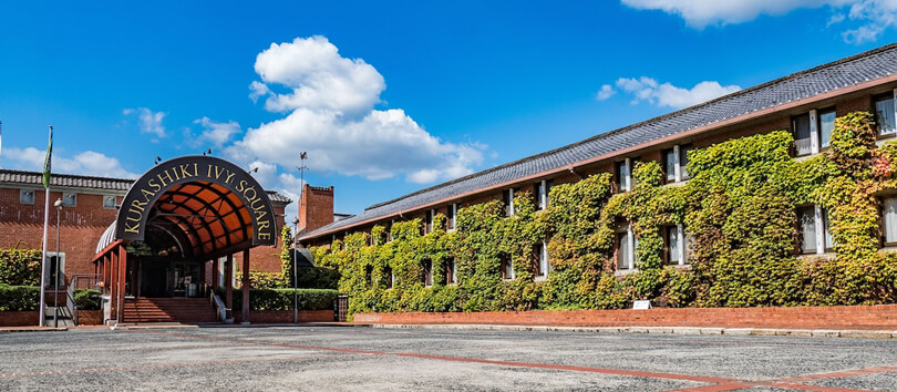 Ivy Square