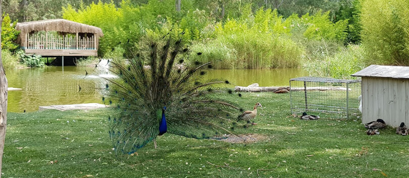 Izmir Wildlife Park