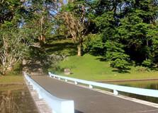 Japnese Gardens in Manila