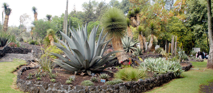 Jardín Botánico