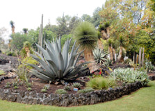 Jardín Botánico in Teotihuacan