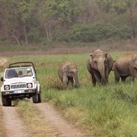 Jeep Safari in Jim Corbett