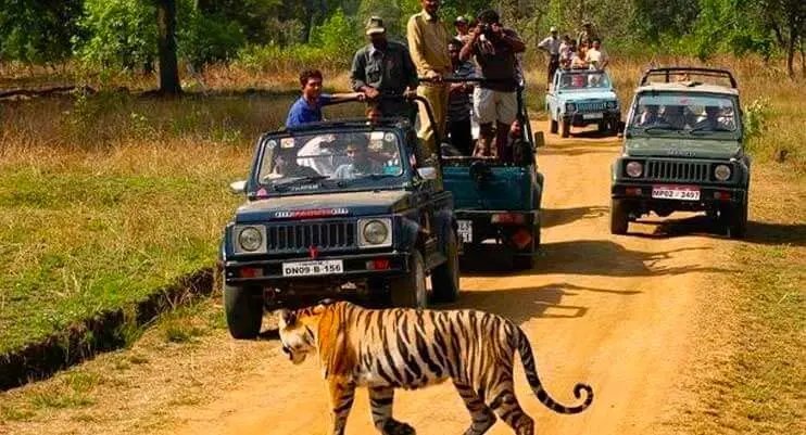Jeep Safari in Sikar