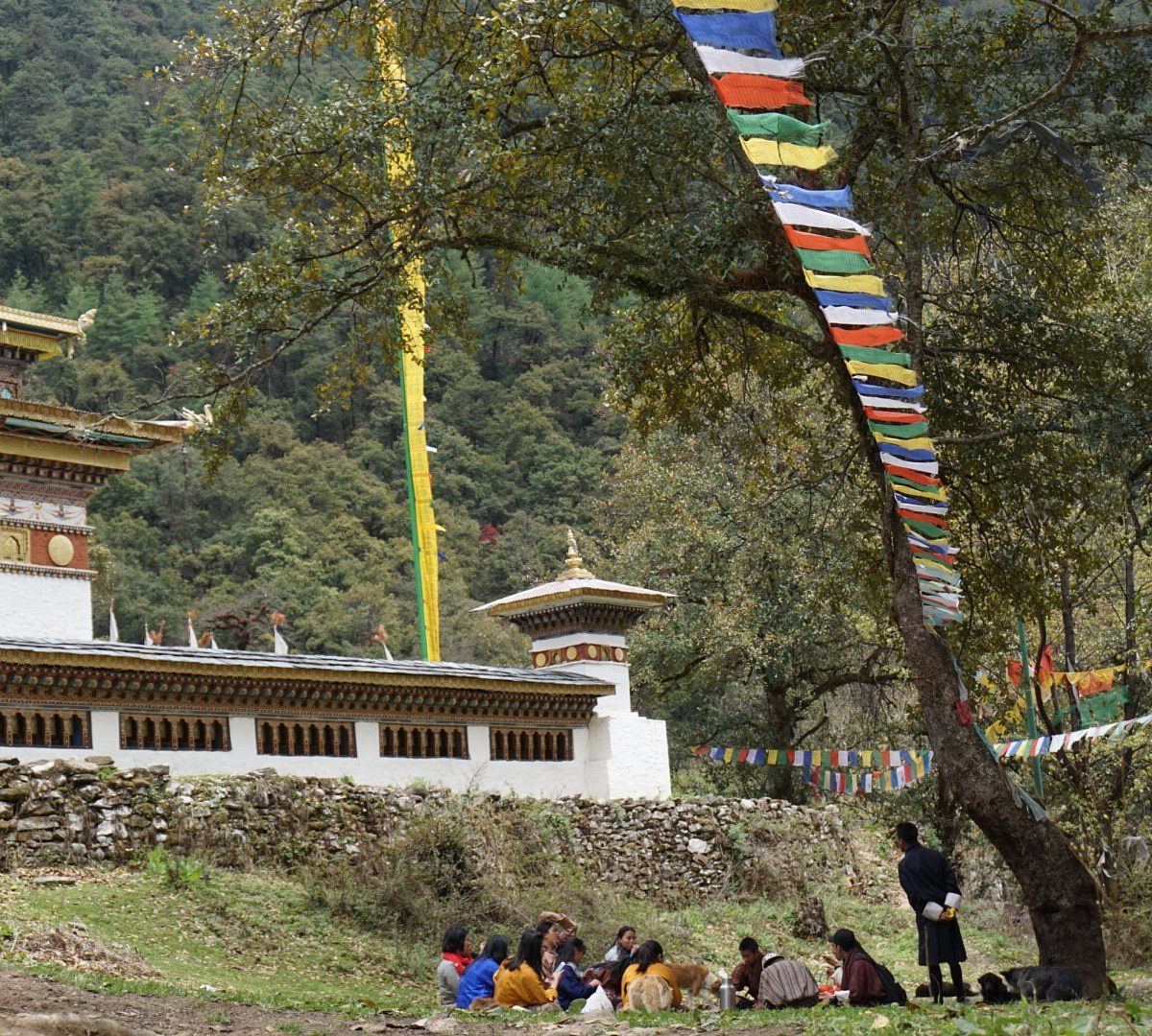 Jigme Dorji National Park