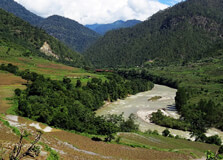 Jigme Dorji National Park in Thimphu