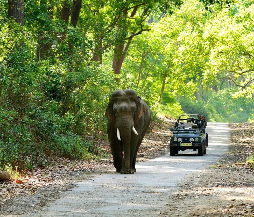 Jim Corbett National Park in Uttarakhand