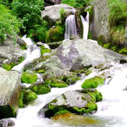 Jogini Falls in Manali