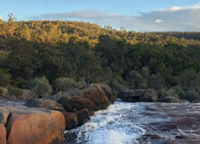 John Forrest National Park in Perth