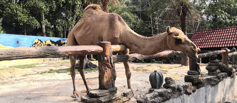 Johor Zoo