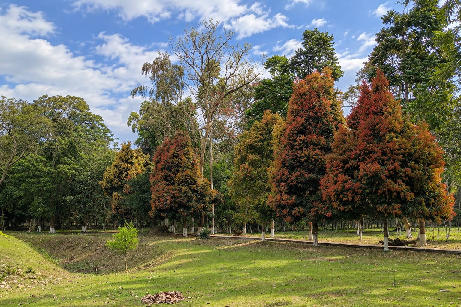 Jokai Botanical Garden