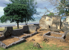 Jumba la Mtwana in Mombasa
