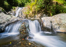 Kaiate Falls in Bay Of Plenty