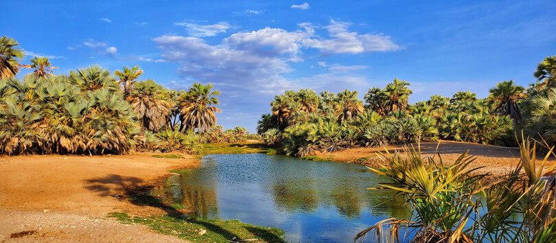 kalacha Oasis