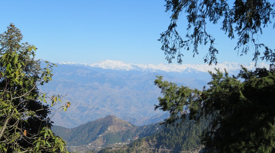 Kalatop Wildlife Sanctuary in Khajjiar