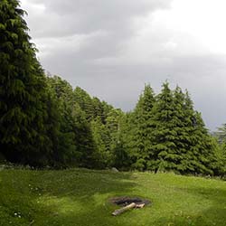 Kalatop Wildlife Sanctuary in Dalhousie