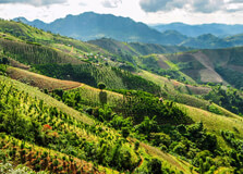 Kalaw Wildlife Reserve in Kalaw