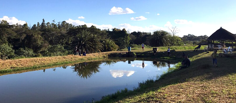 Kalimba Reptile Park