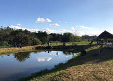 Kalimba Reptile Park in Lusaka