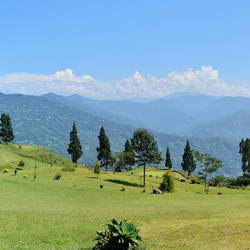Kalimpong Hills in Darjeeling
