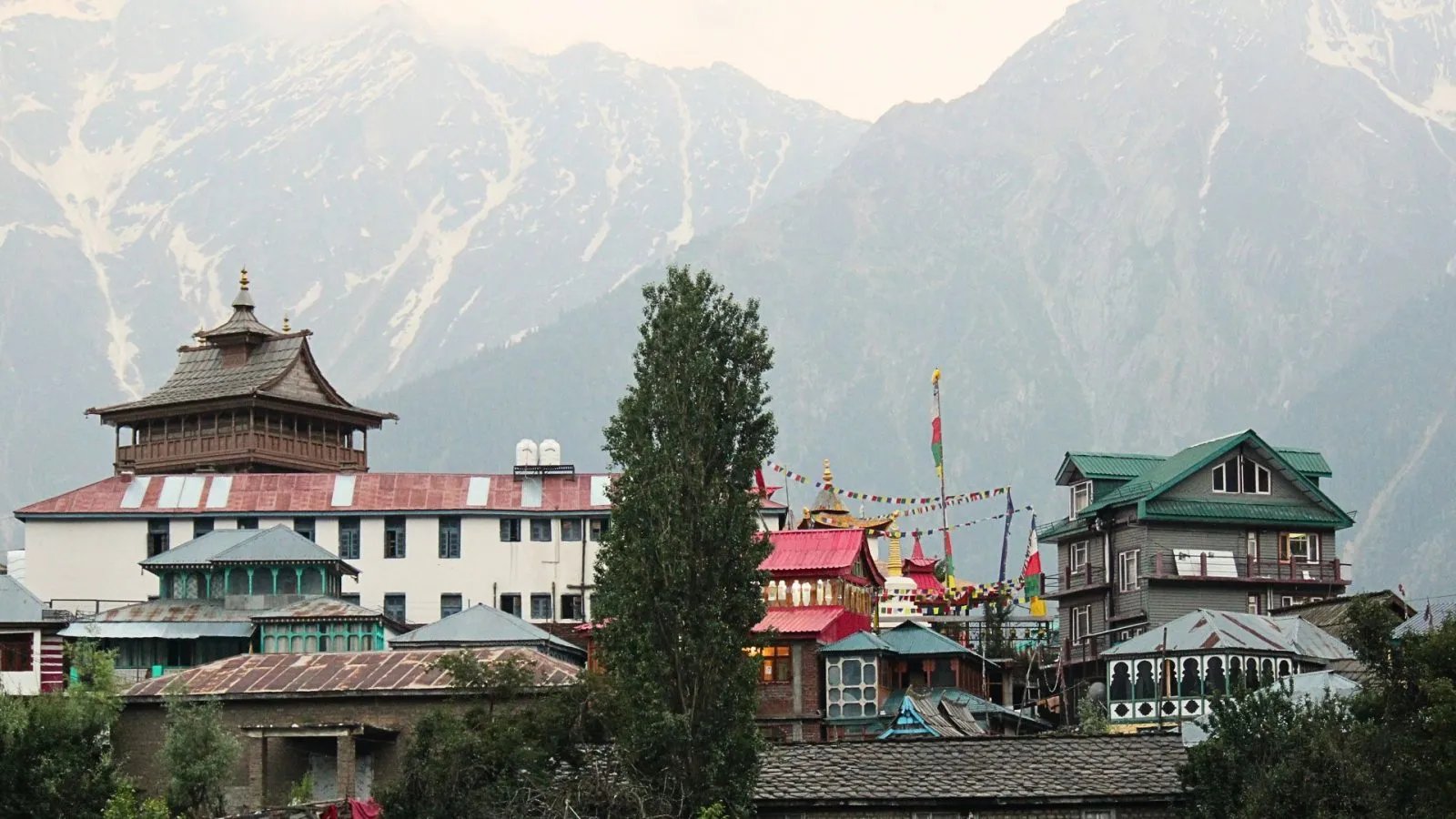 Kalpa Village in Kalpa