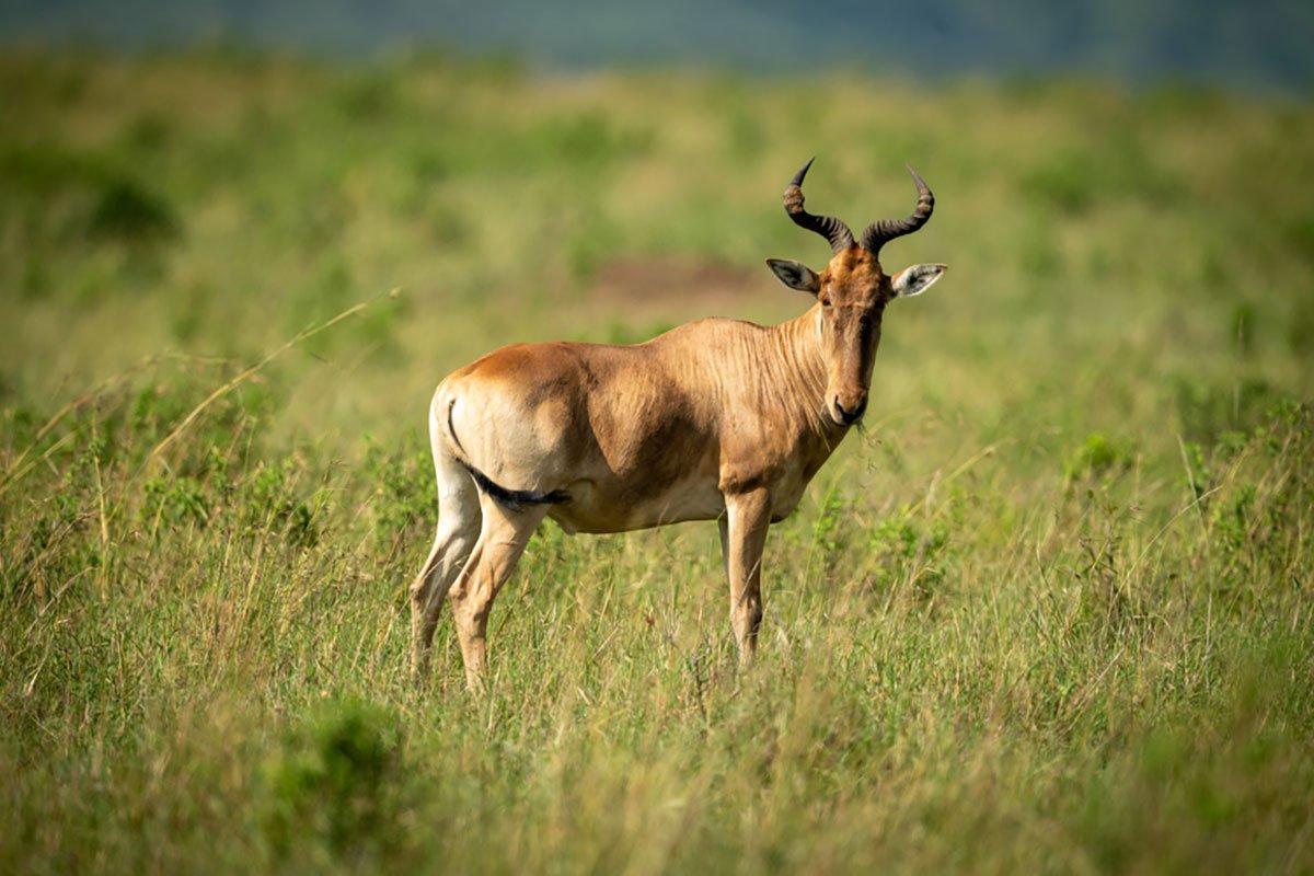 Kamuku National Park in Kaduna
