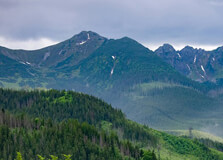 Kane Wildlife Sanctuary in Siang