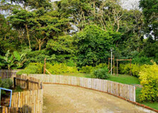 Kaposya Forest in Eldoret