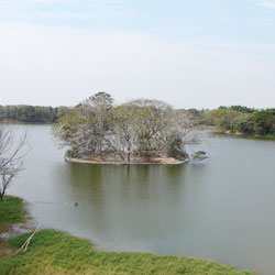 Karanji Lake in Mysore
